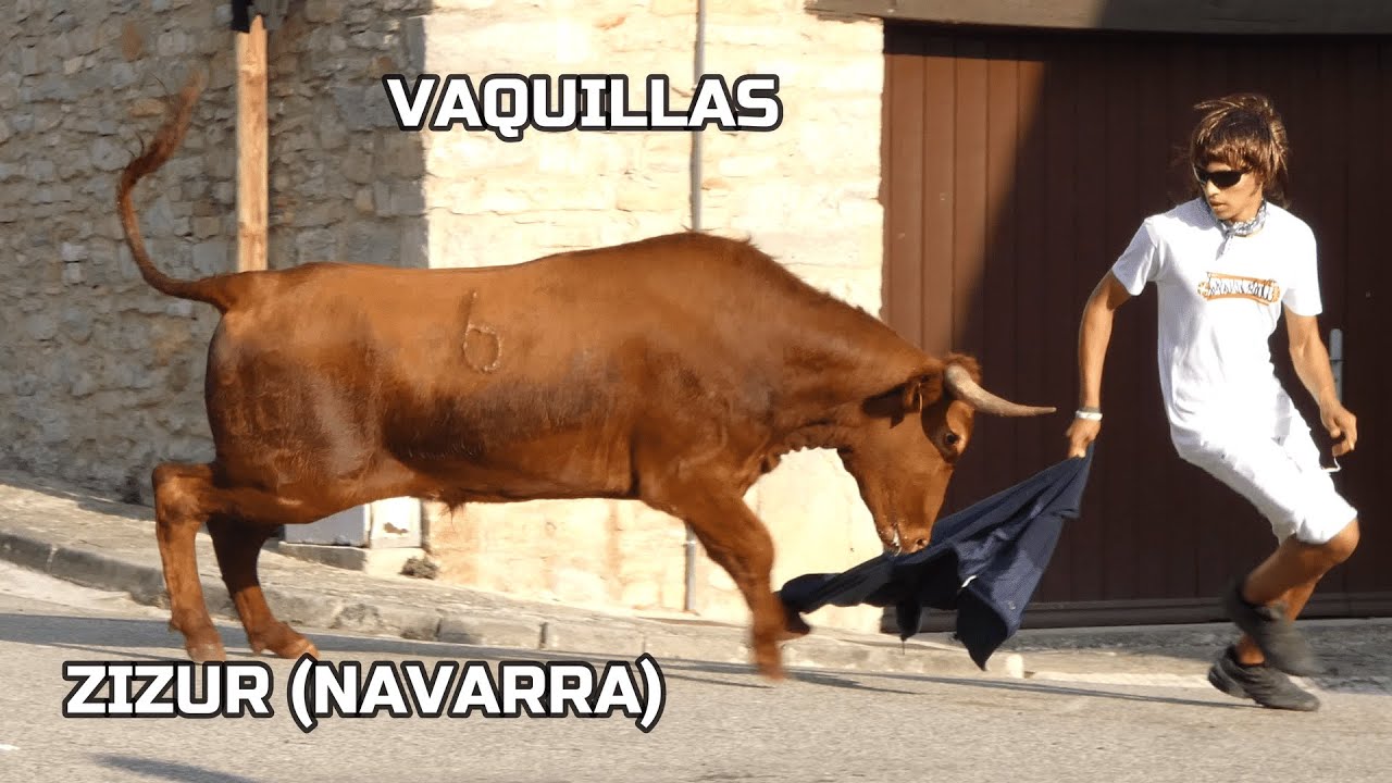 Zizur Vaquillas 2025 #zizurfiestas2025 #zizurvaquillas