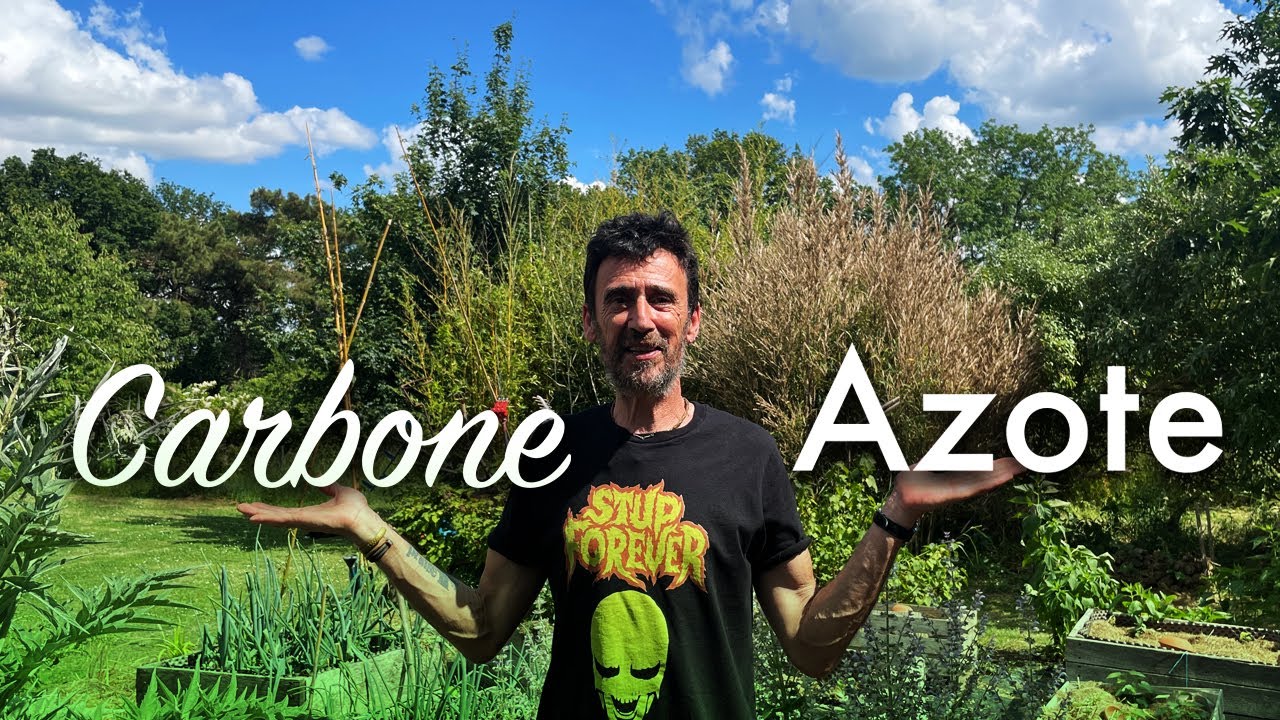Mieux pailler en utilisant le rapport Carbone sur azote.