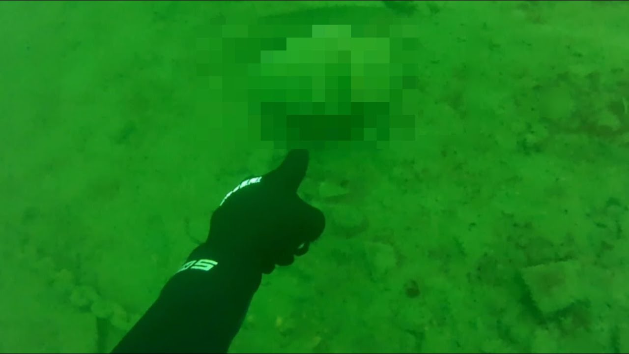 Found Human remains while diving in Cultus Lake B.C.