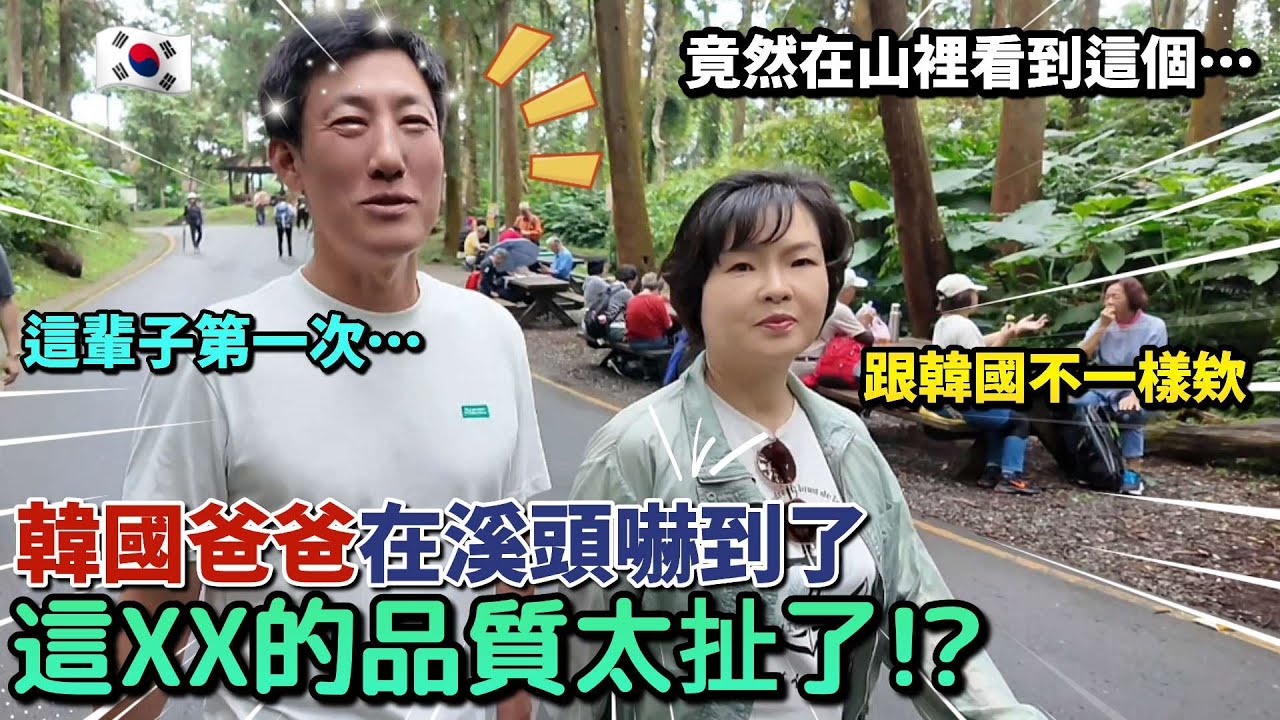 韓國爸爸在溪頭被嚇到了? 這輩子沒來過XX這麼好的地方😱說要跟女兒一起留在台灣的理由是?