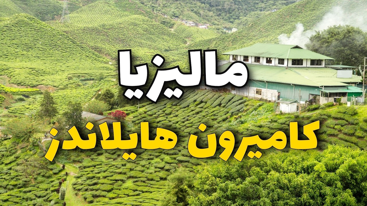 مرتفعات كاميرون: أفضل الأنشطة السياحية في جنة ماليزيا الخضراء والأسعار