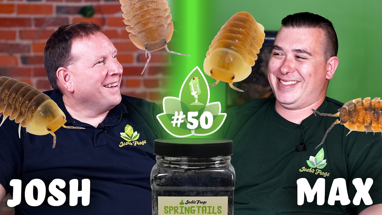 The Micro Crew: Isopods and Springtails! - Josh's Frogs Podcast Episode 50