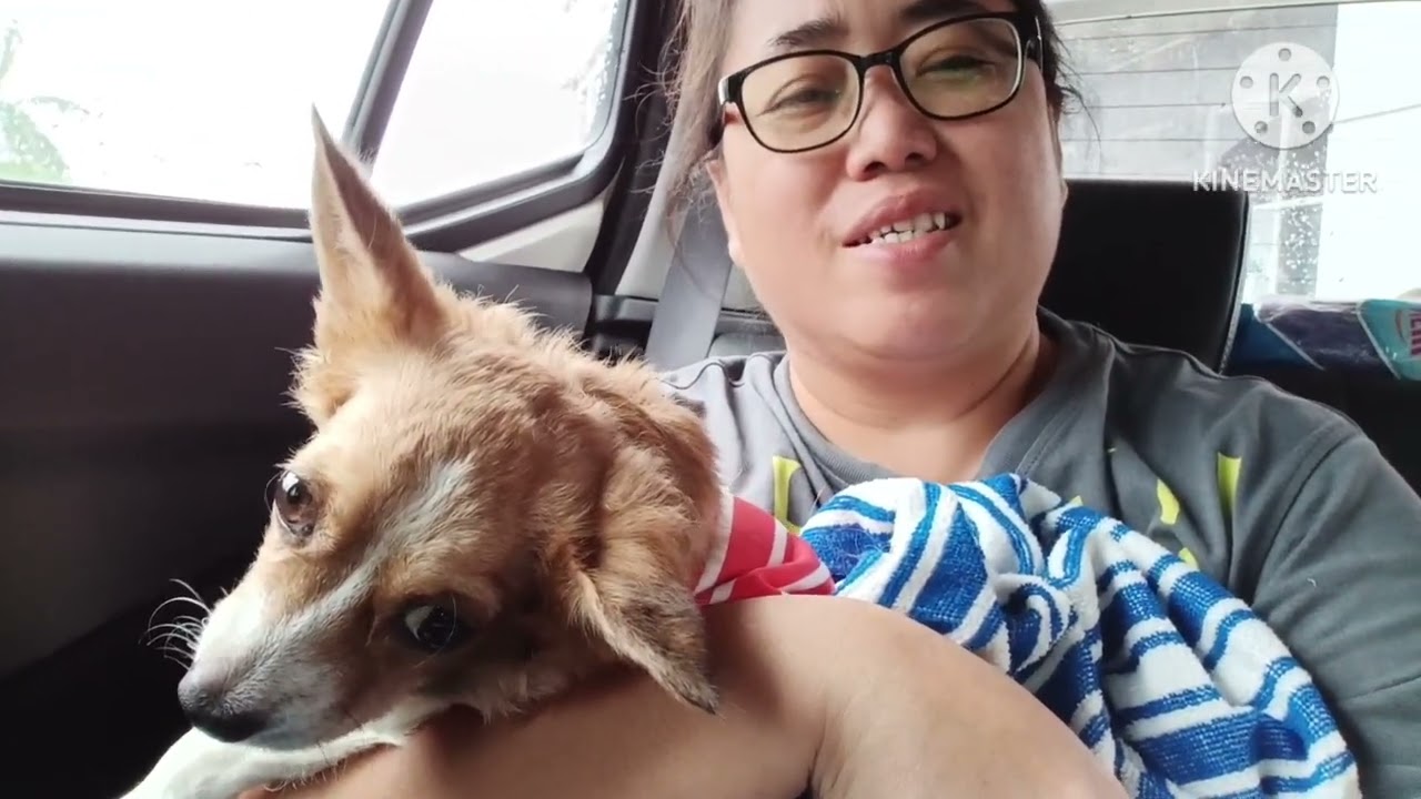 Loat sayangku nampak kuat di depanku...tapi 🥺|| I love you so much Loat💞😘🐕always & forever. 