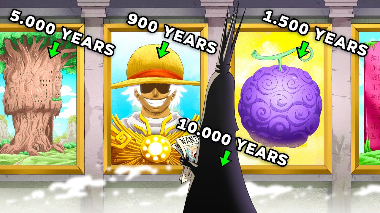 These are The OLDEST Things in Onepiece