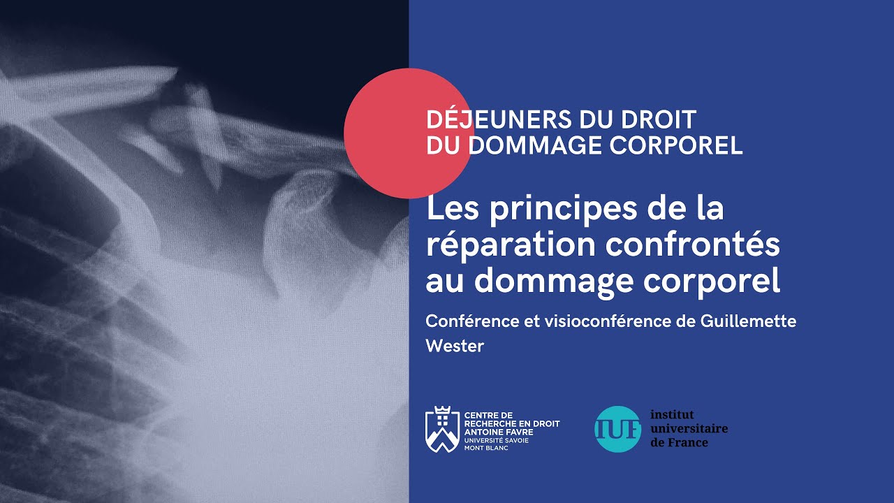 Les principes de la réparation confrontés au dommage corporel (G. Wester)