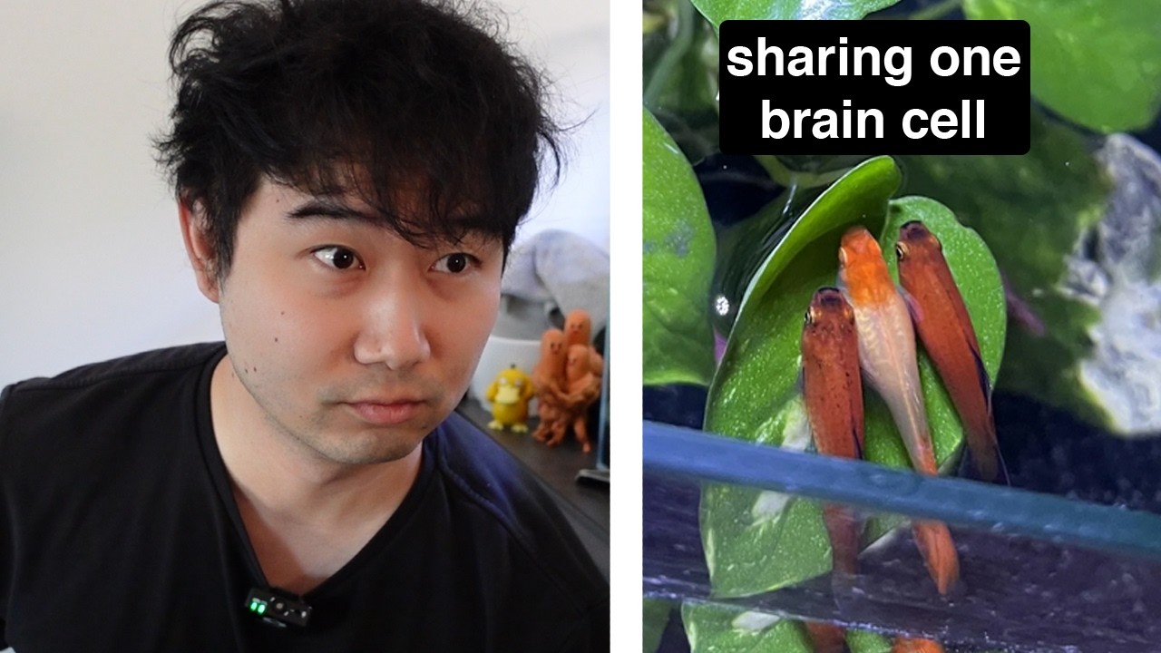 I found the MOST WHOLESOME Fishkeeping Content | Fish Tank Review 348
