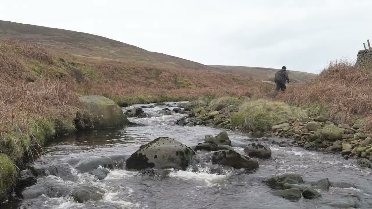 Forest of Bowland 2/26