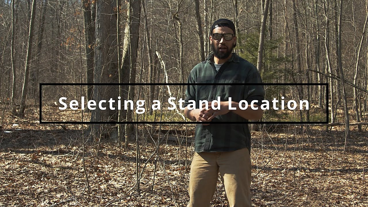 How To Pick A Stand Location