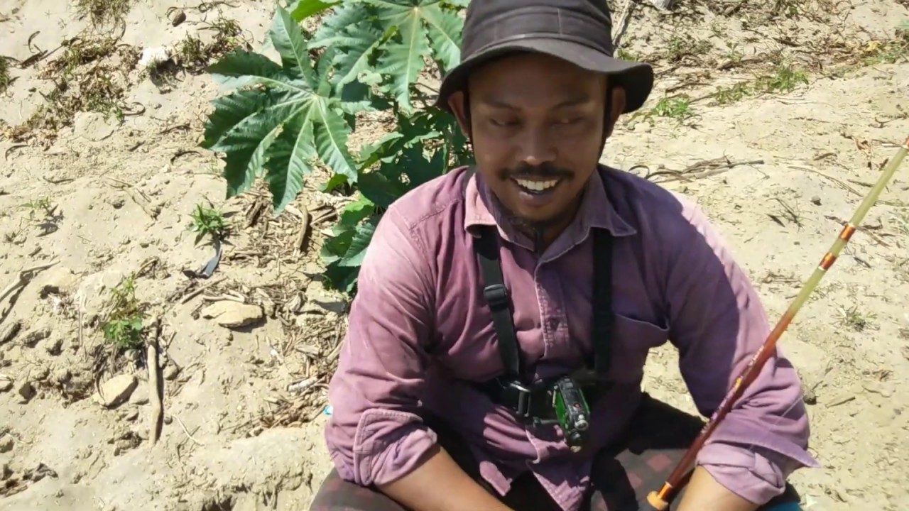 Aksi Balikin Kelor || Dapat Rejeki Nomplok Ikan Sidat Raksasa