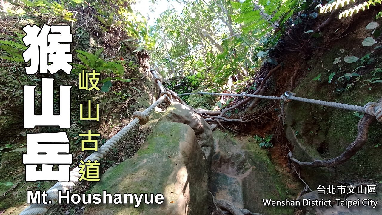 爬猴山岳真的遇到猴子，超平緩好走的岐山古道，大推!!!