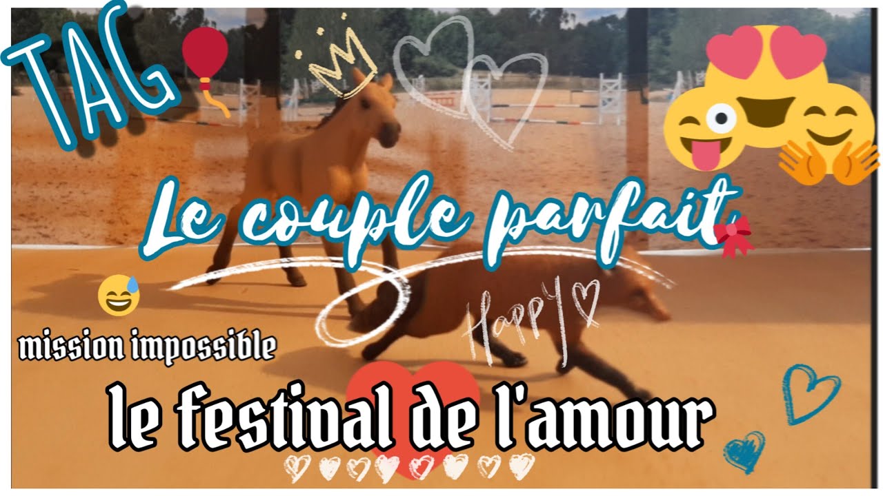TAG Schleich - le couple parfait -