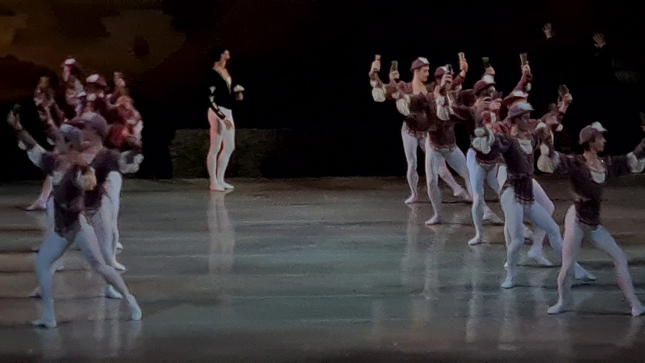 14.10.2020. Swan lake(Лебединое озеро, 백조의 호수) Kimin Kim(Кимин Ким, 김기민)
