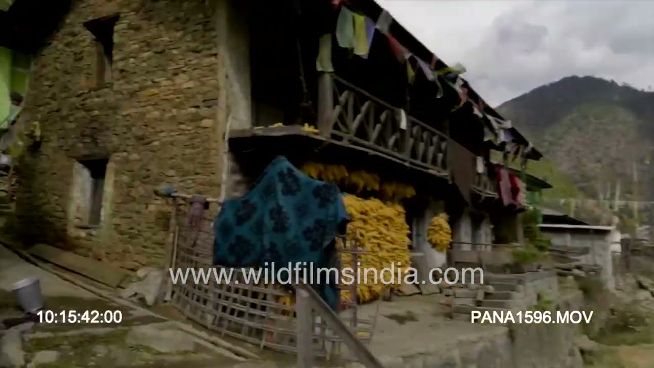 Corn granary in West Kameng district of Arunachal Pradesh, in 4K footage compilation, Wall Creeper