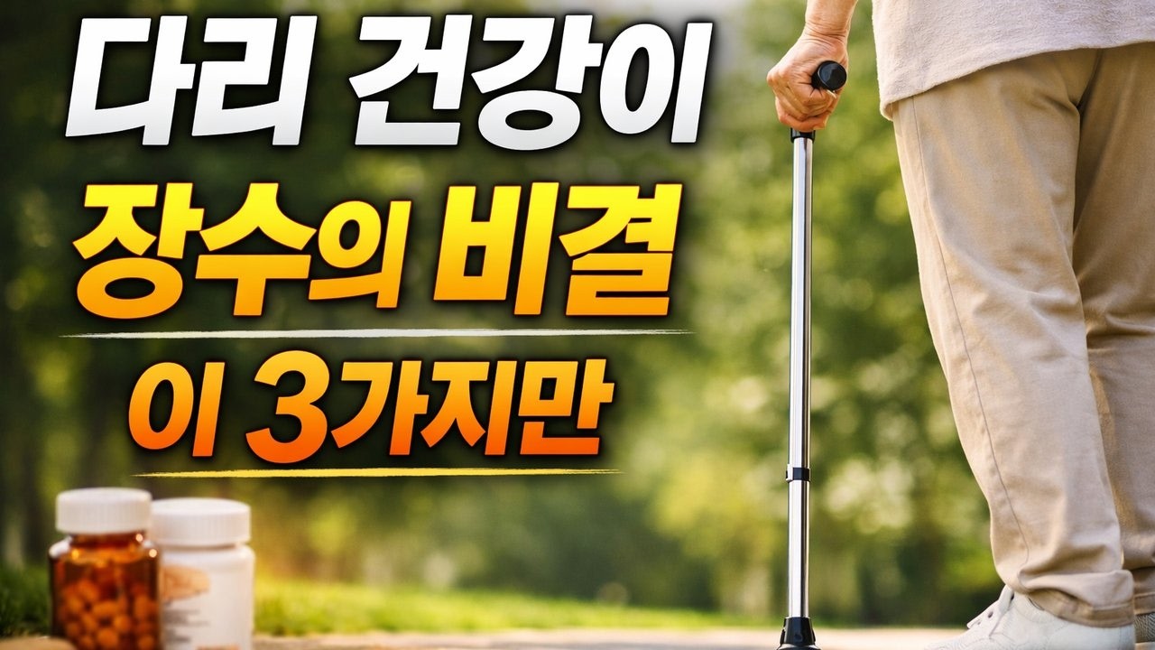 다리가 건강해야 장수합니다 | 이 3가지만 지키세요 | 인생조언 | 명언 |오디오 북| 시니어