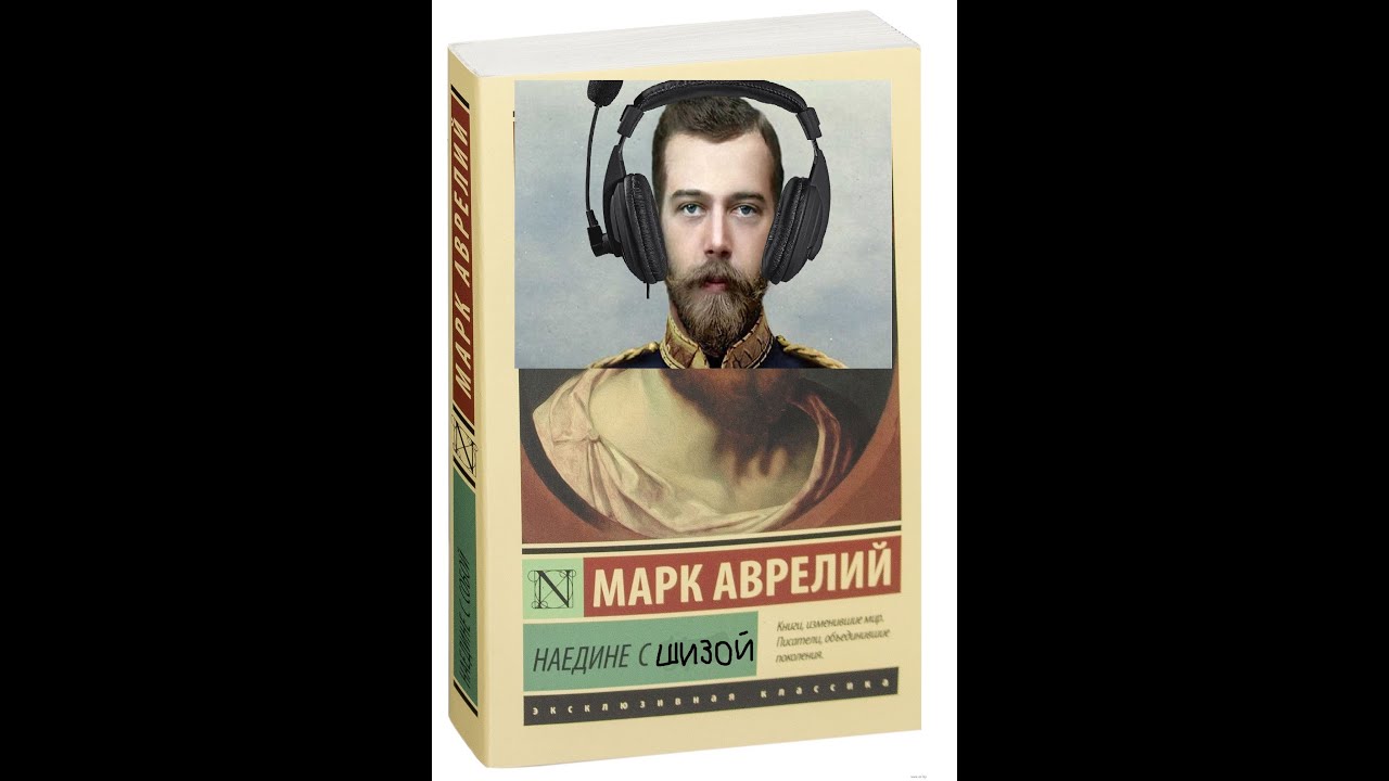 наедине с шизой | разбор стоицизма с книгой 