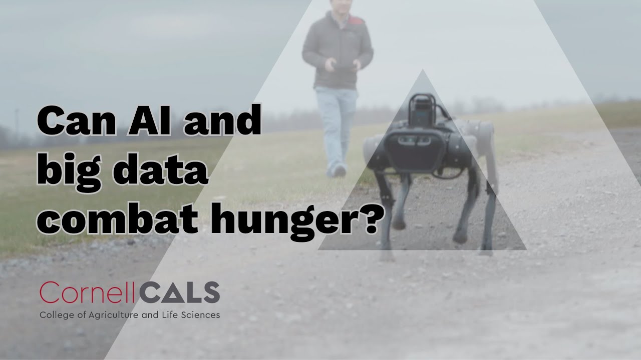 Faculty Research Spotlight: Can AI and big data combat hunger?