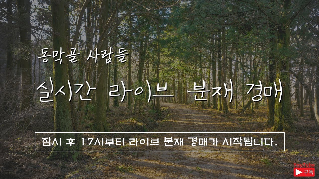 [동막골사람들] 2026.02.28-03.01 동막골분재원 라이브 경매