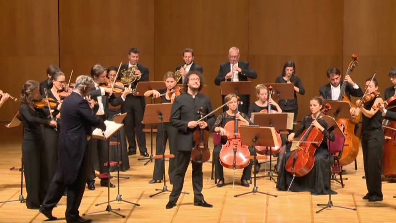Atilla Aldemir - Hoffmeister Violakonzert 1. Satz