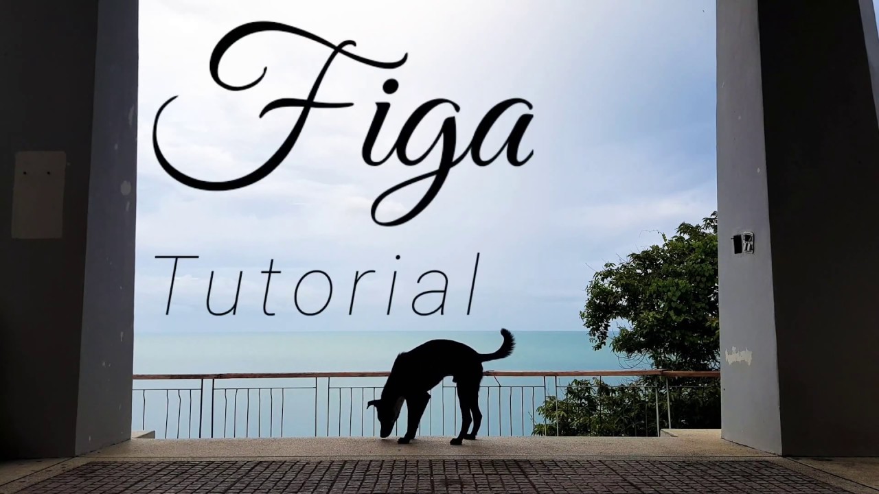 One Arm Handstand Tutorial - Figa