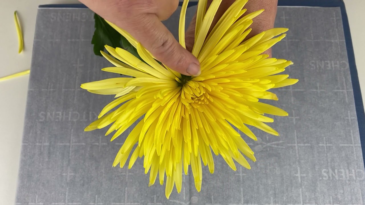 Pressed Flowers and Wood Carving