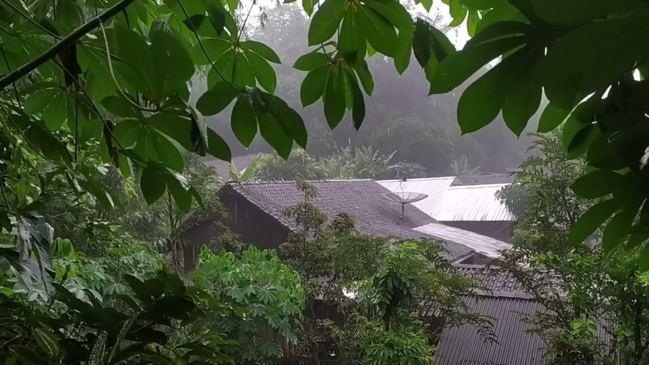 Heavy Rain Sounds on Tin Roof | Peaceful Village ASMR