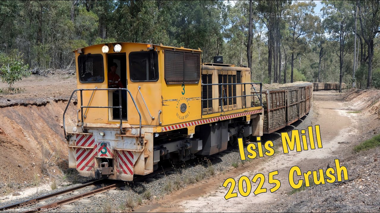 Isis Central Mill 2025 Crush