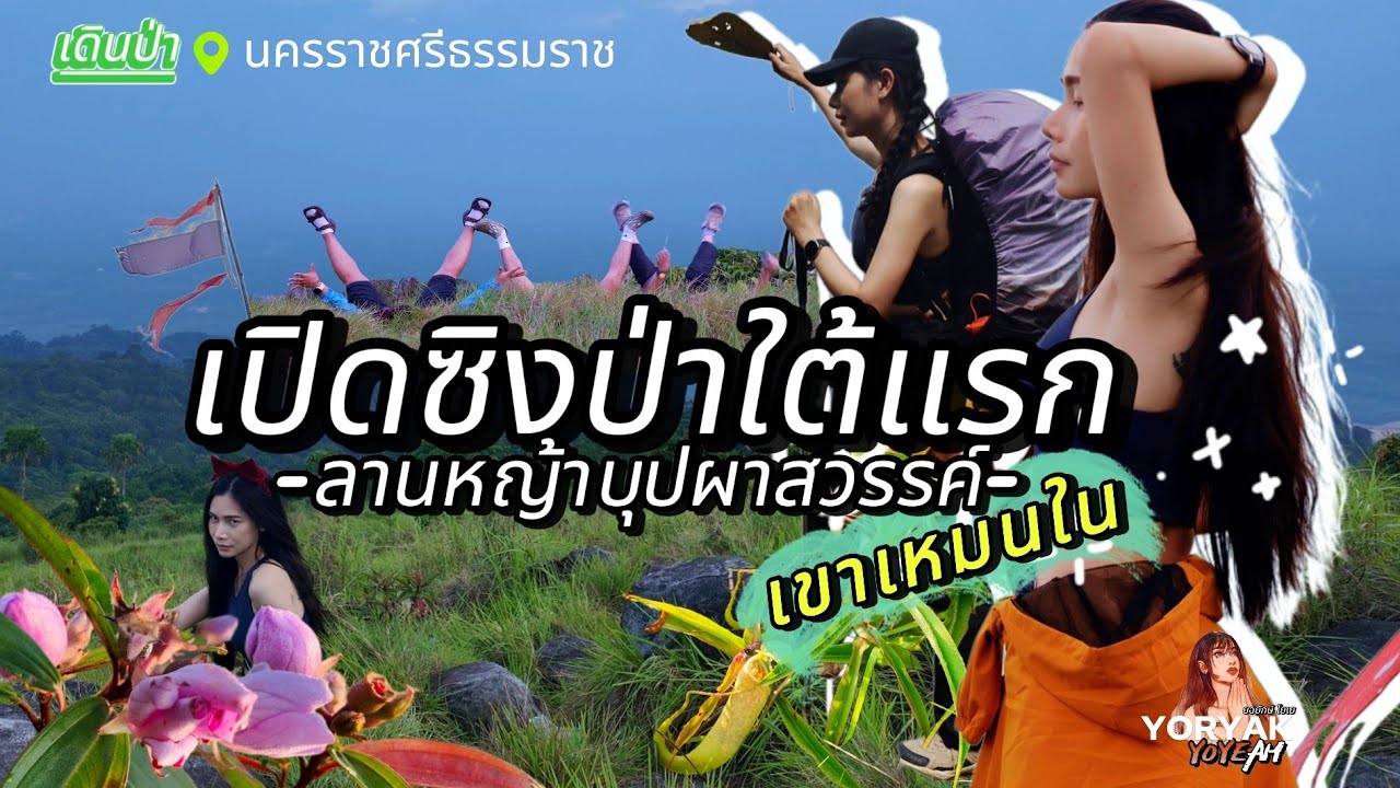 เปิดซิงเดินป่าใต้แรกในชีวิต | กับภารกิจพิชิตธงขาดลานหญ้าบุปผาสวรรค์ เขาเหมน ใน ที่ จ.นครศรีธรรมราช