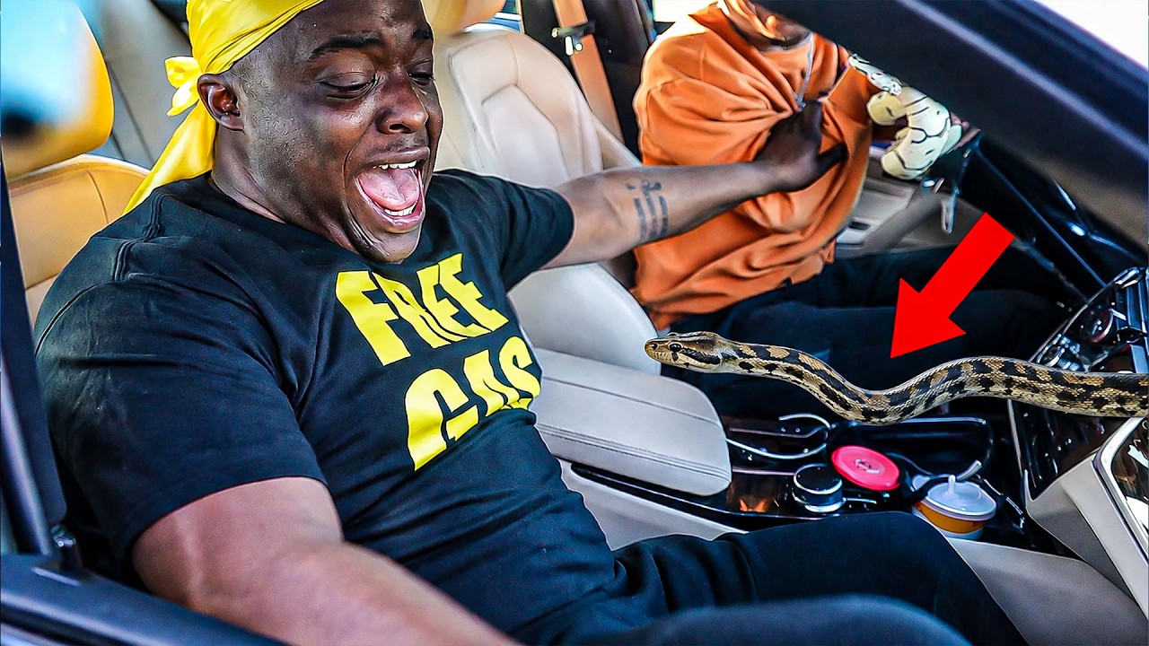 Surprising The Homies w/ A GIANT Snake! 🐍