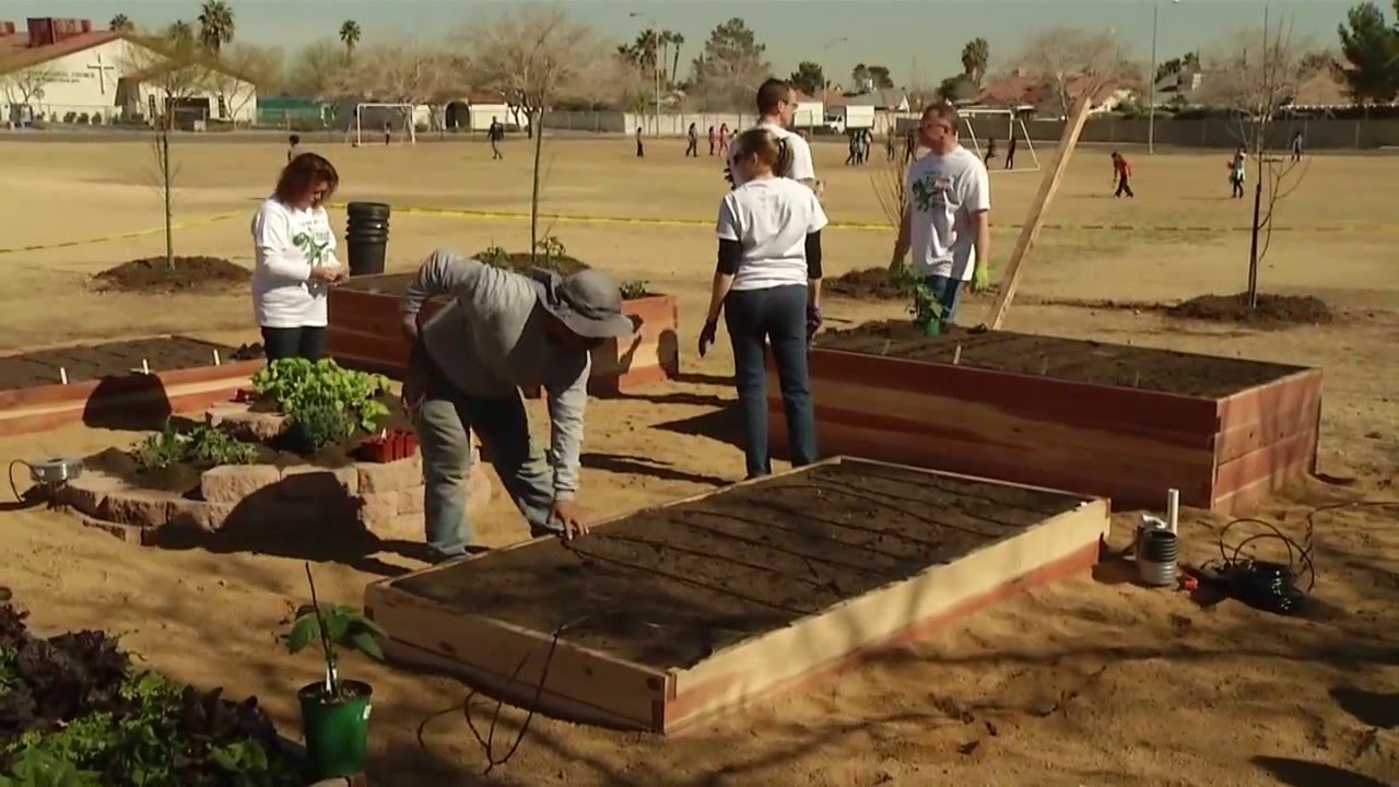 Clark County School District Earth Day Project