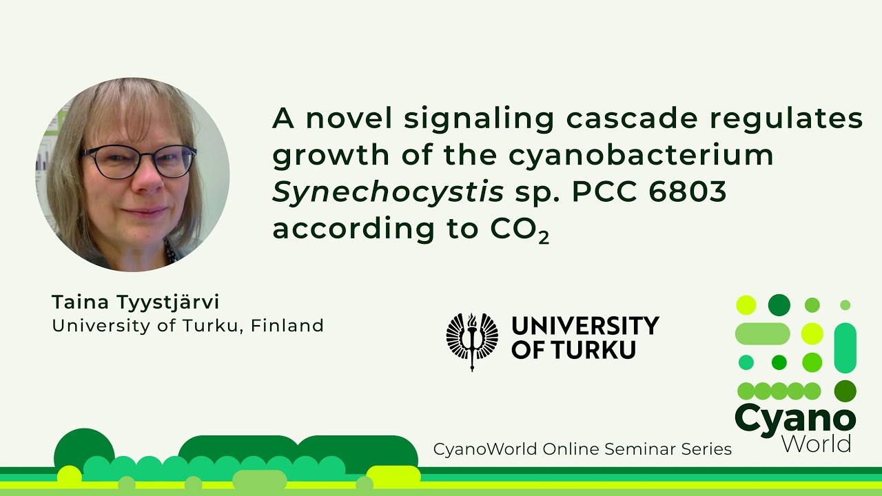 Taina Tyystjärvi | A novel signaling cascade regulates growth of Synechocystis according to CO2