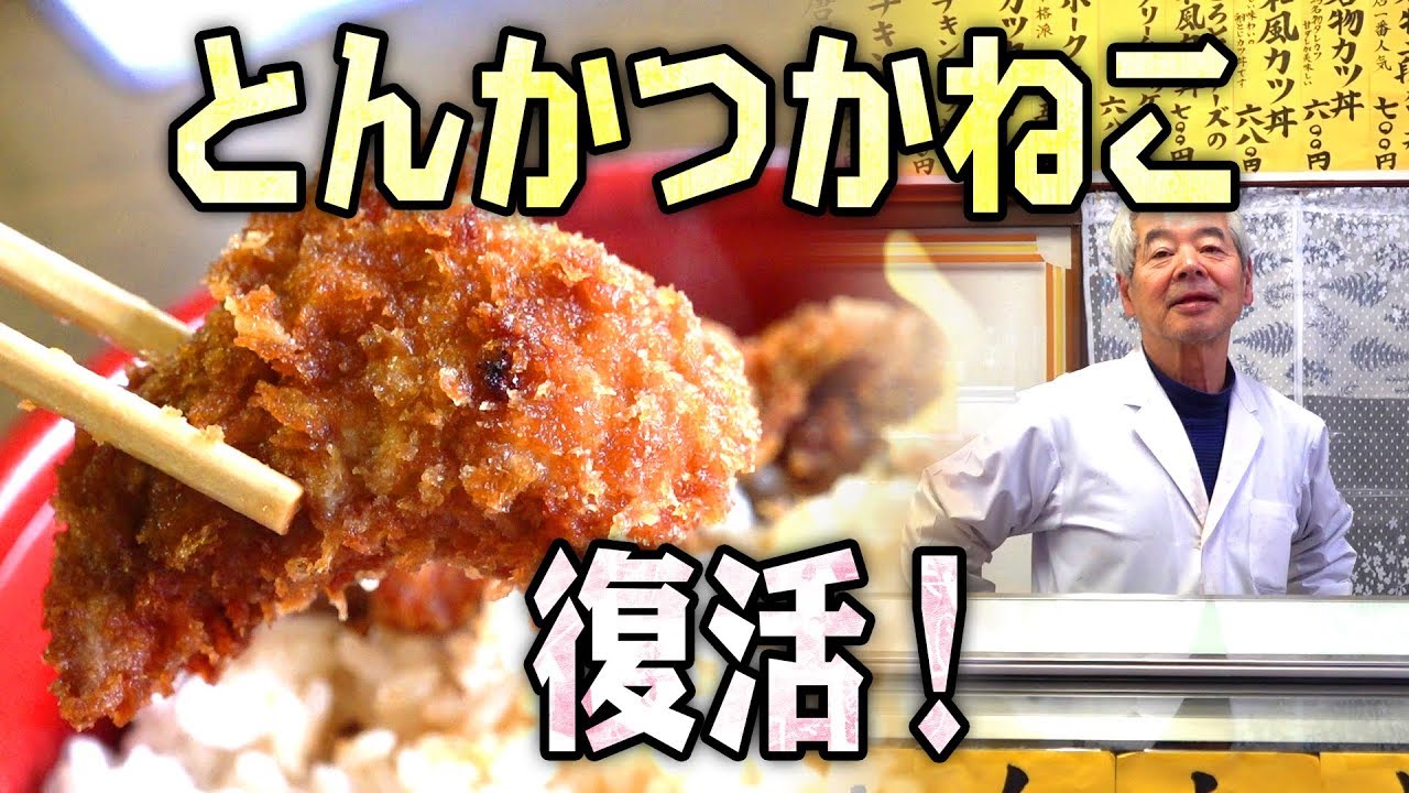 【新潟名物タレカツ丼】とんかつかねこが復活！名物二段カツ丼再び！新潟市中央区横七番町通