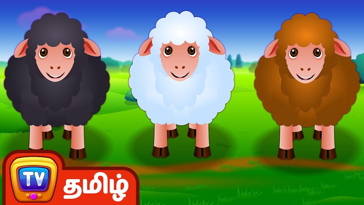 பாடி திரியும் கருப்பாடே (Baa Baa Black Sheep) | ChuChu TV தமிழ் Tamil Rhymes For Children