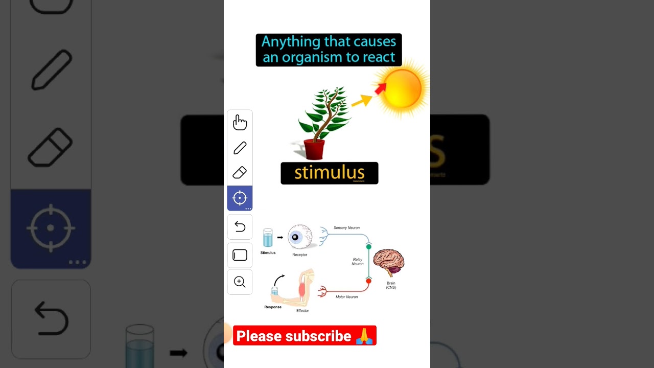 what is stimulus | what is stimuli | control and coordination | #science #learn #biology #important