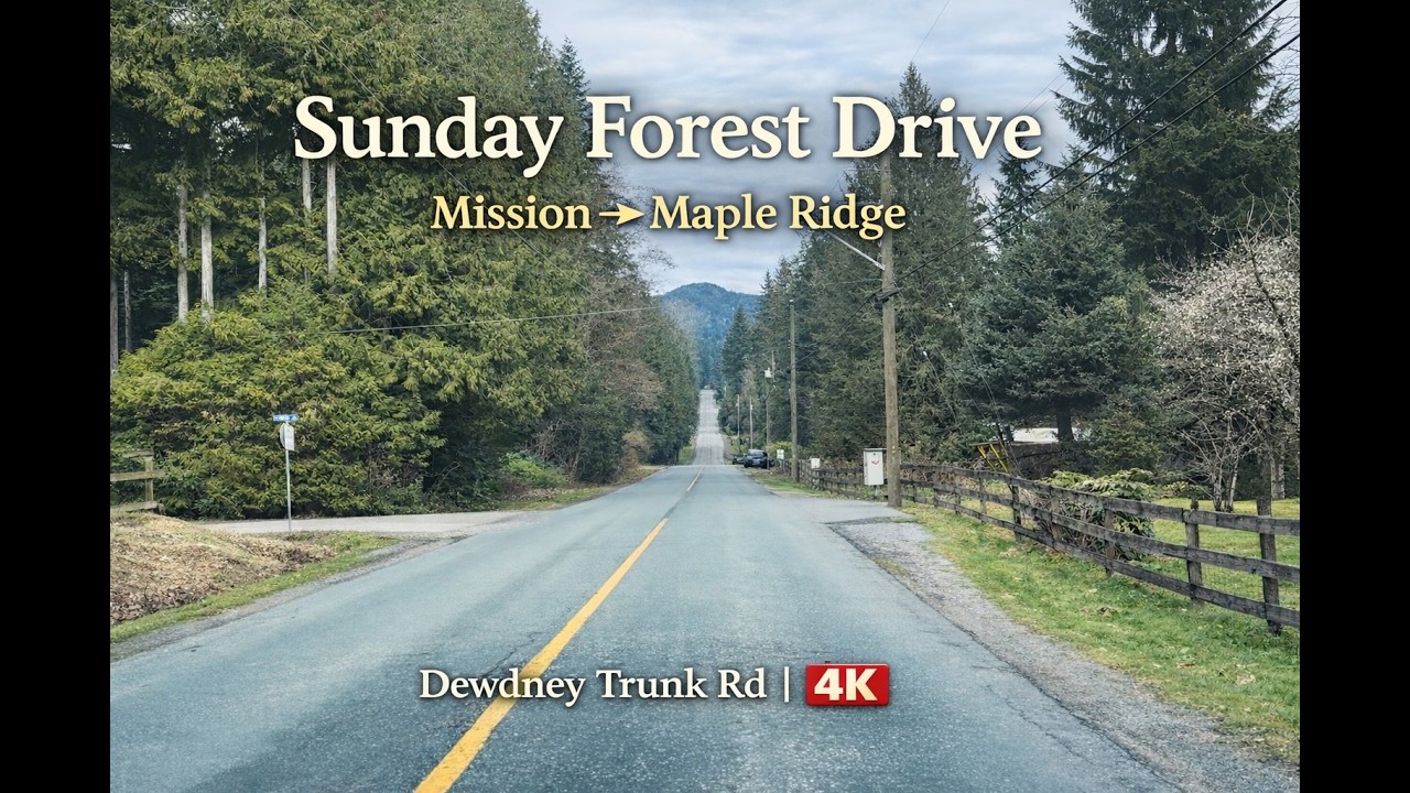 Sunday Afternoon Forest Drive | Mission → Maple Ridge | Dewdney Trunk Rd 4K