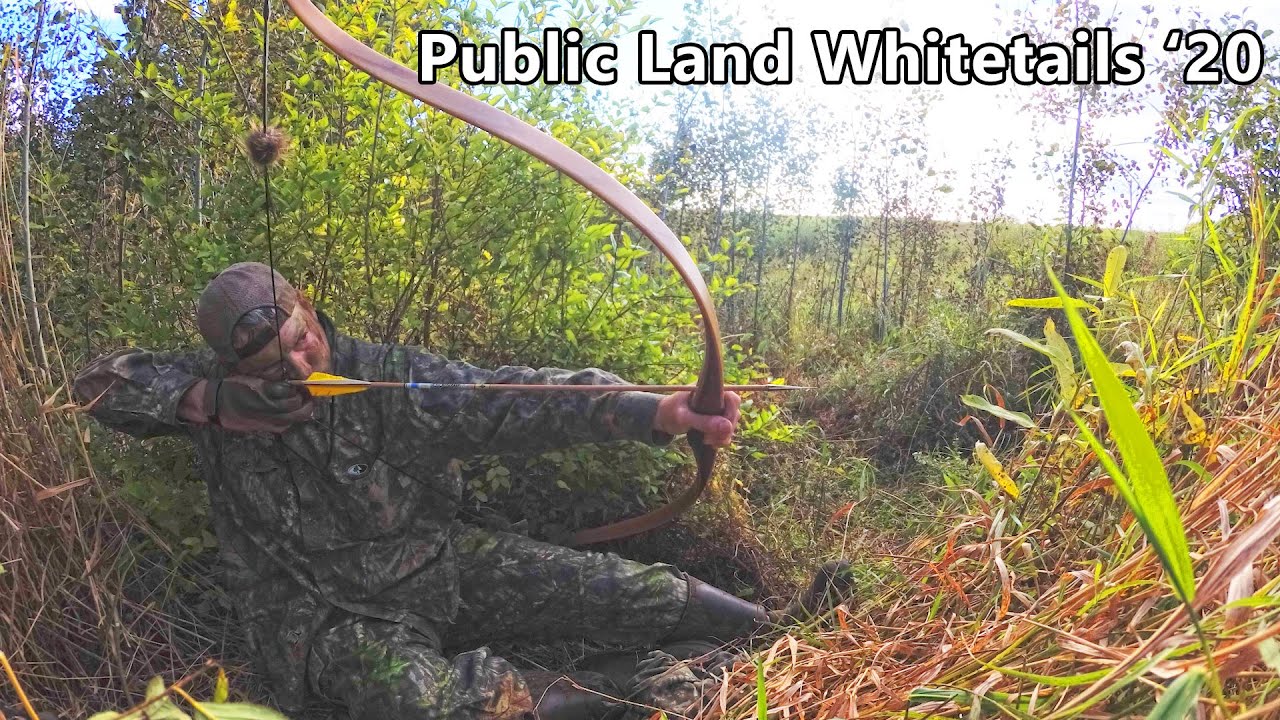 Bucks In The Willows - Recurve Hunting - Public Land Whitetails