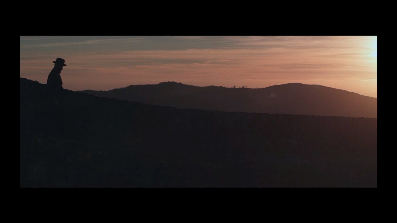Rodrigo Amarante - Tardei