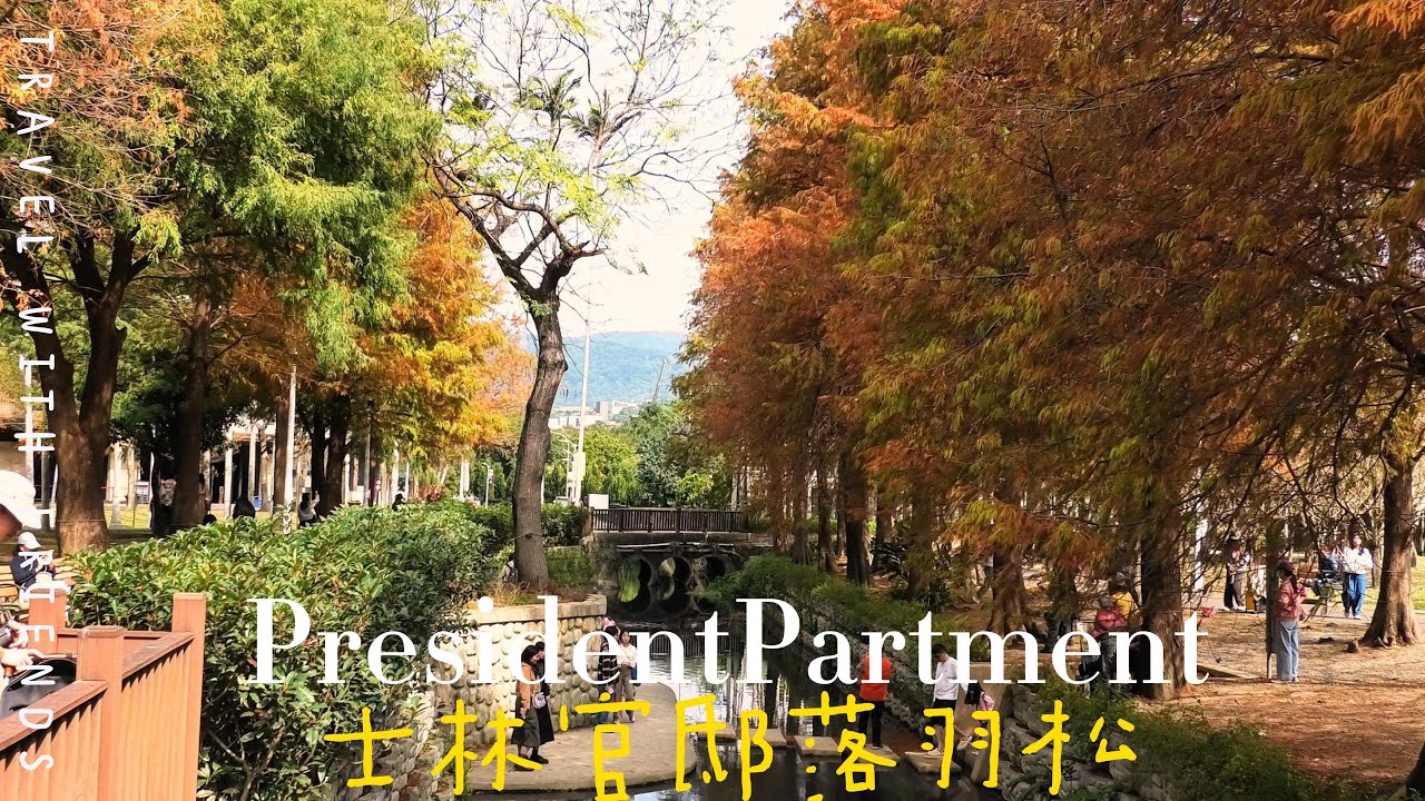260115士林官邸楓紅愈美麗了