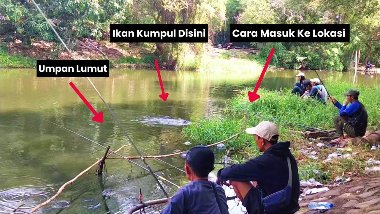 Surganya Ikan Mujair Disini‼️Spot Mancing Liar Di Jakarta || Cara Masuk Ke Lokasi.