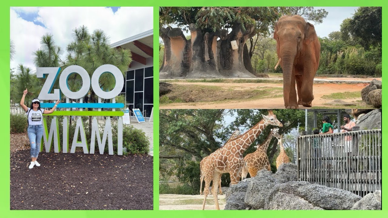 ZOO MIAMI | visitando el zoológico de Miami  🐘￼2025 ,precio 🦁vale la pena ir ??