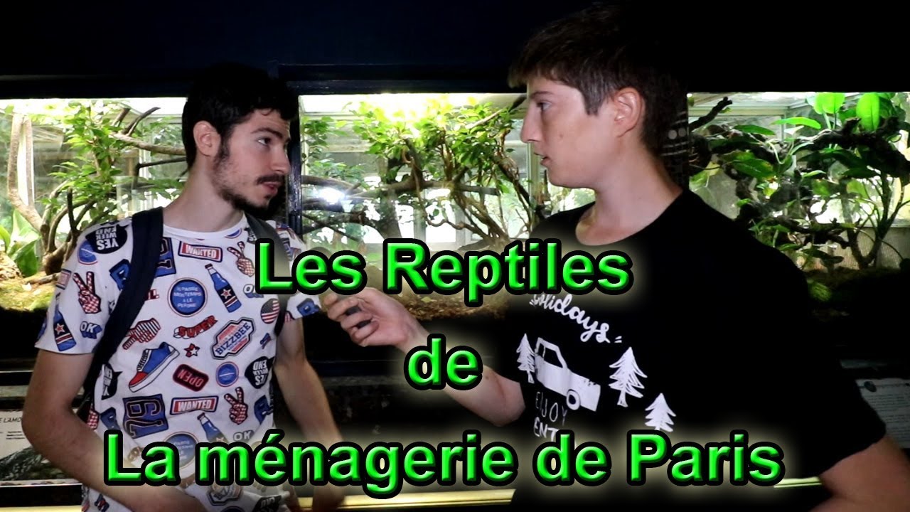 Les REPTILES de la Ménagerie de PARIS (Ft. F-L Reptile)