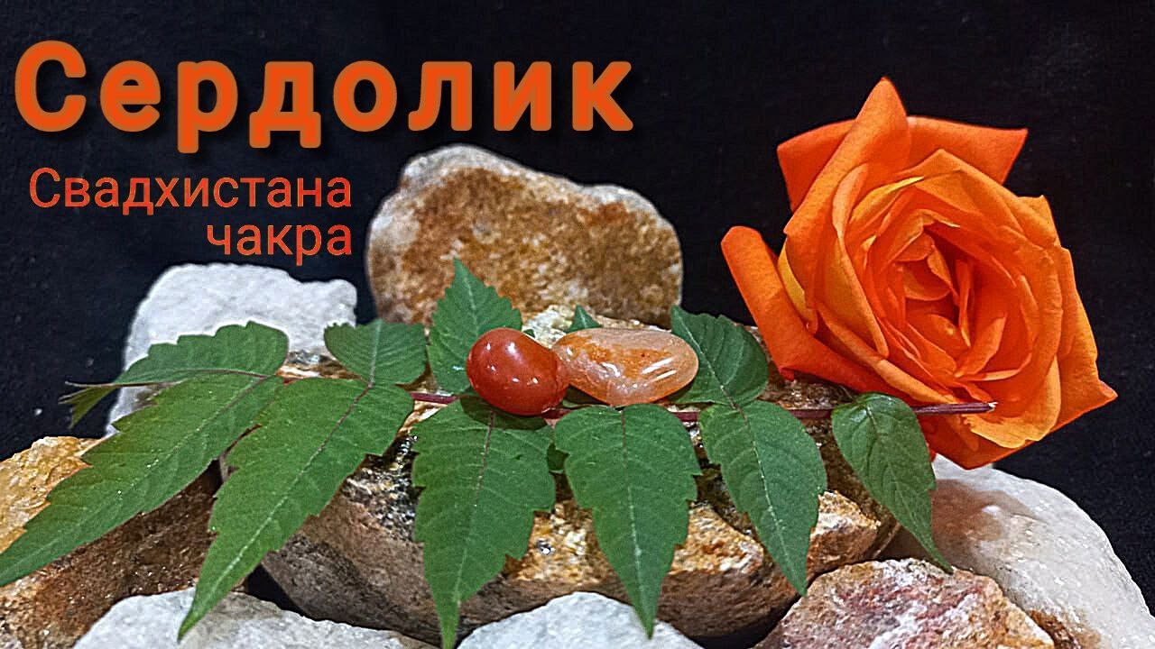 Сердолик - Свадхистана чакра, энергетические свойства,  влияние на жизнь