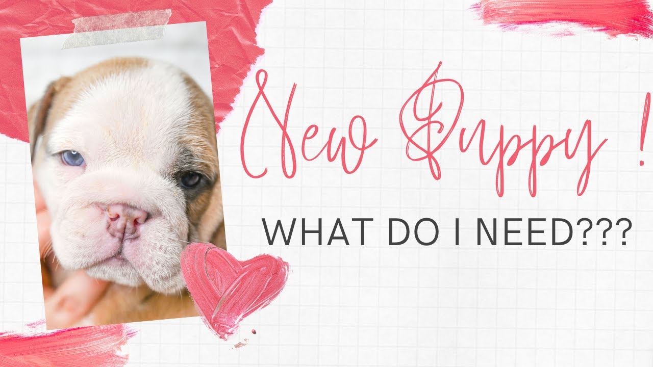 You need these for your new puppy !