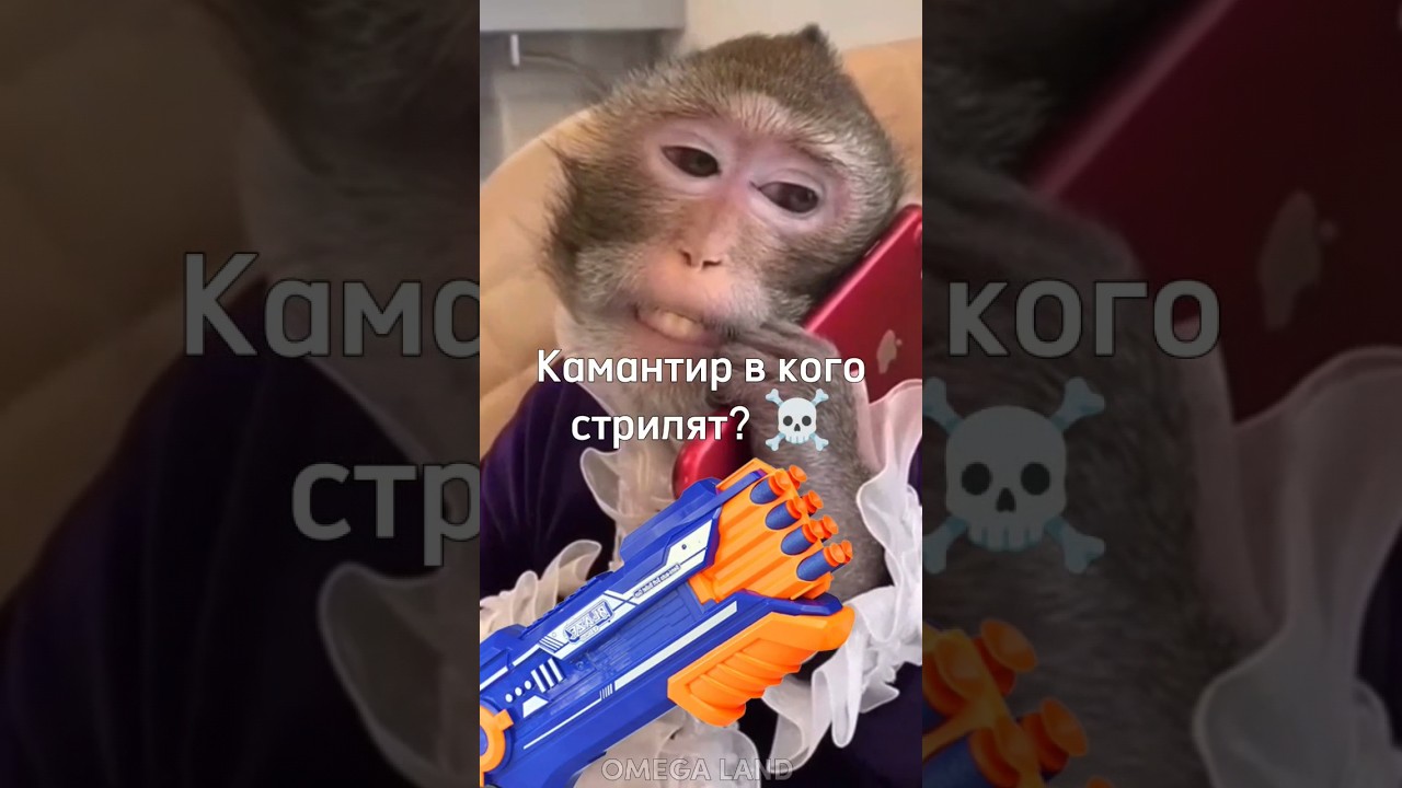 Командир, в кого стрелять? 🤪 #а4 #rek #майнкрафт #brother #monkey #tiktok #роблокс #omega #браток