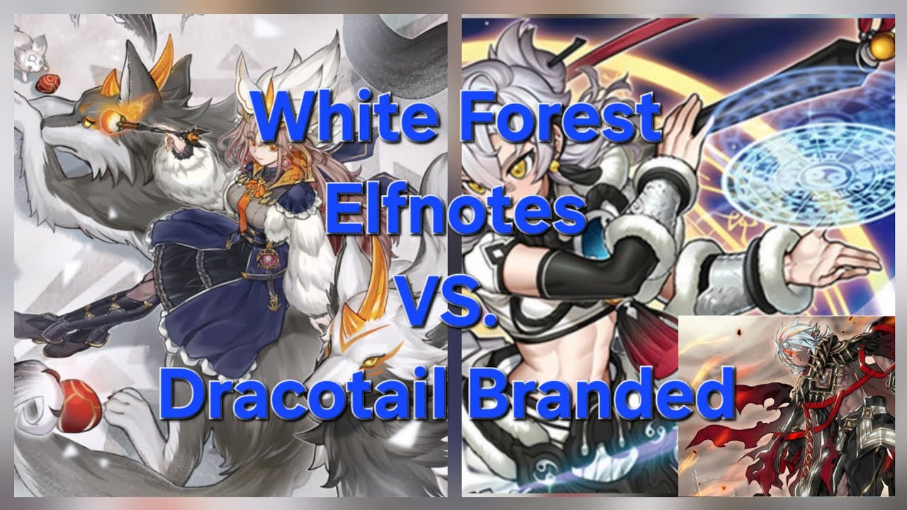 White Forest Elfnotes vs. Dracotail Branded