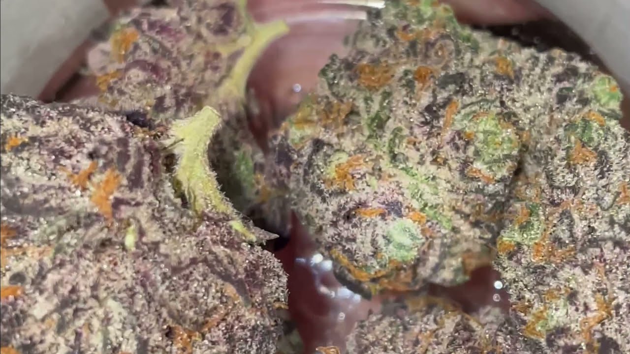 Alien Labs Atomic Apple And Floracal Farms Slurrie Crash