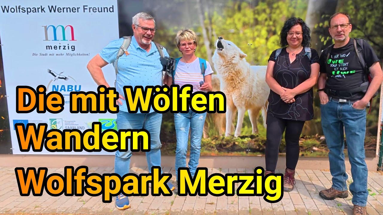 Wolfsweg Wanderung im Werner Freund  Wolfspark in Merzig