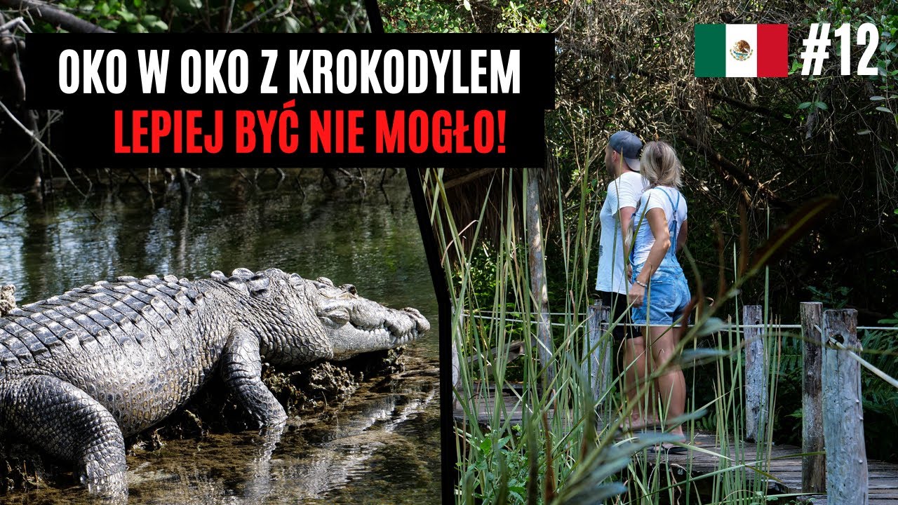 SPOTKALIŚMY KROKODYLA w Rio Lagartos , Meksyk 🇲🇽 | Wiecznie Wolni #75