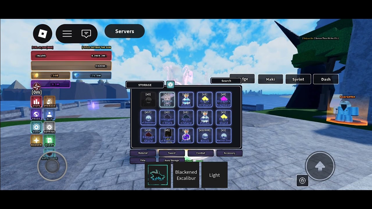 Saber alter build rogue piece 