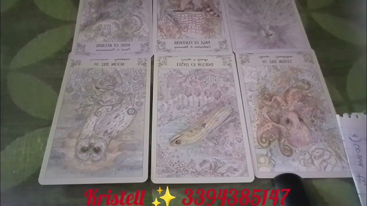 COSA SEI STATI/A PER LUI/LEI?COSA SEI ADESSO?#witchtok #relazioni #amore #tarocchiinterattivi ❤️❓