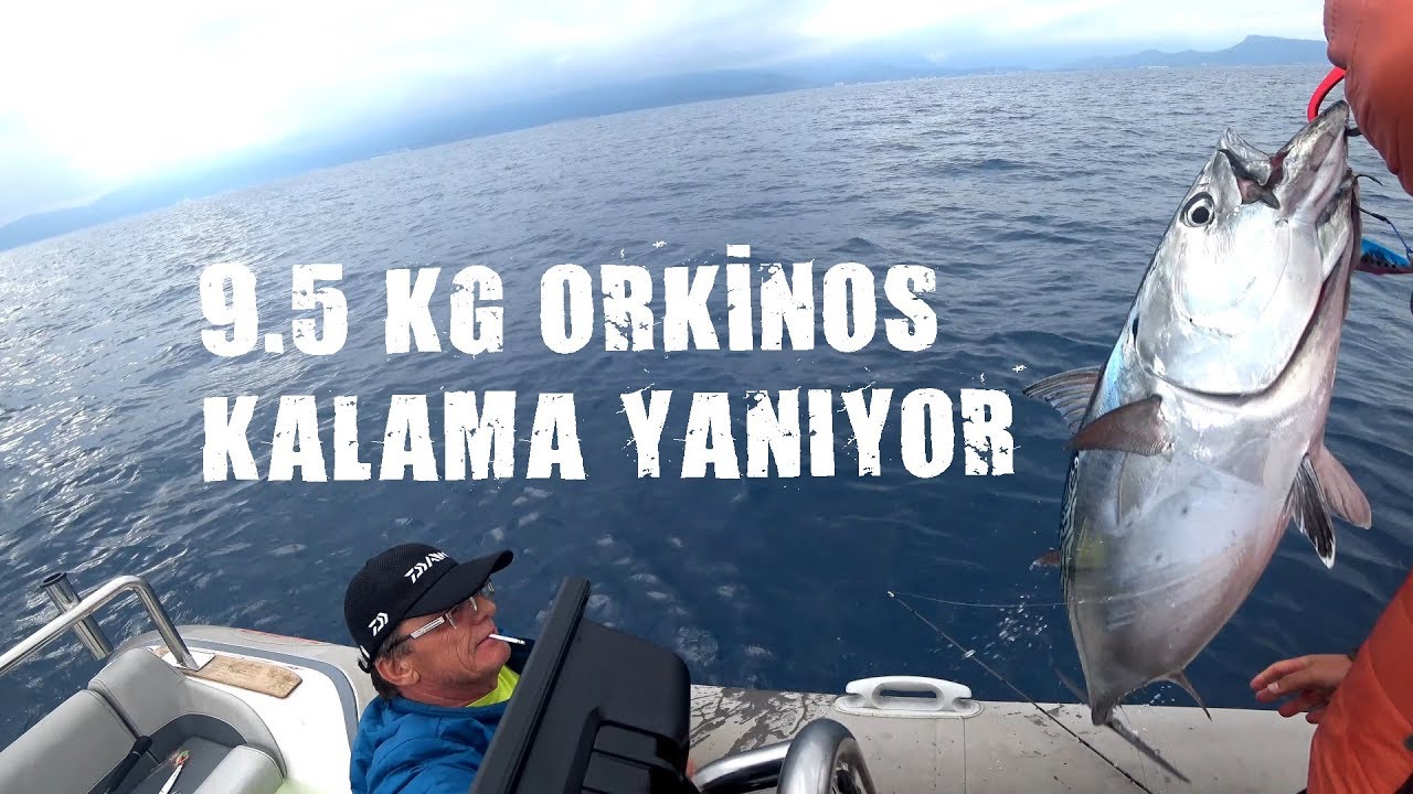9.5 Kg Orkinos Avı Antalya Jig Avı Daiwa Mr Slow